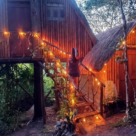 Sanctuaria Treehouses Busuanga Exterior foto