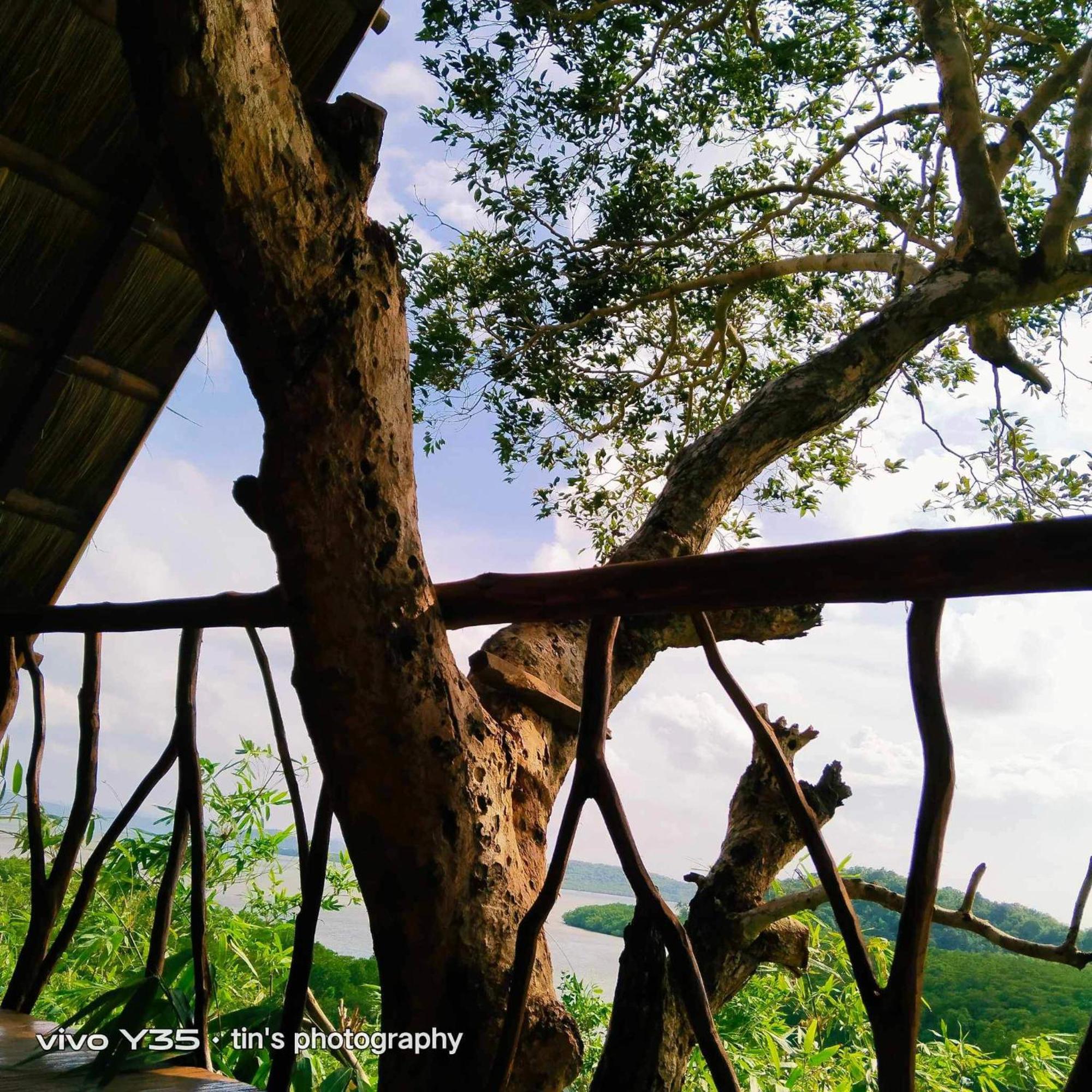 Sanctuaria Treehouses Busuanga Exterior foto