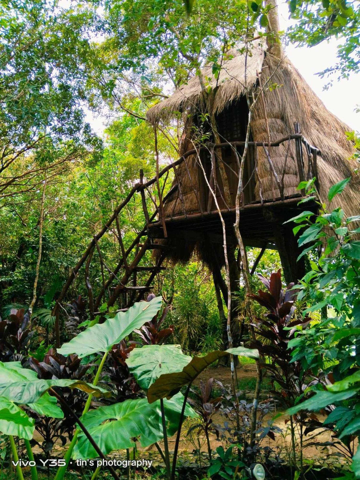 Sanctuaria Treehouses Busuanga Exterior foto